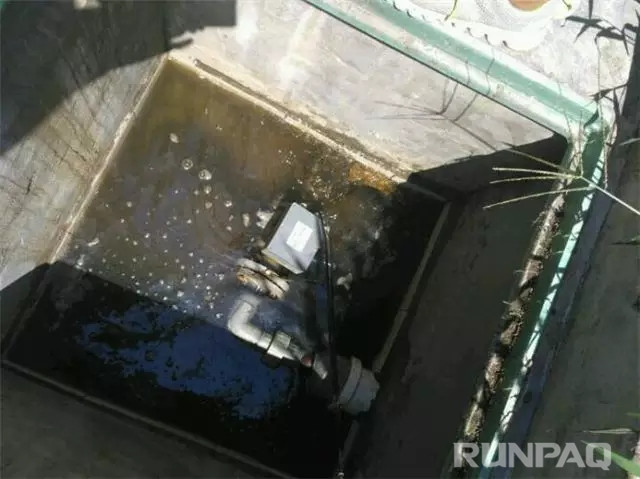 1522808413524168ReKq.jpg 640.webp (9).jpg