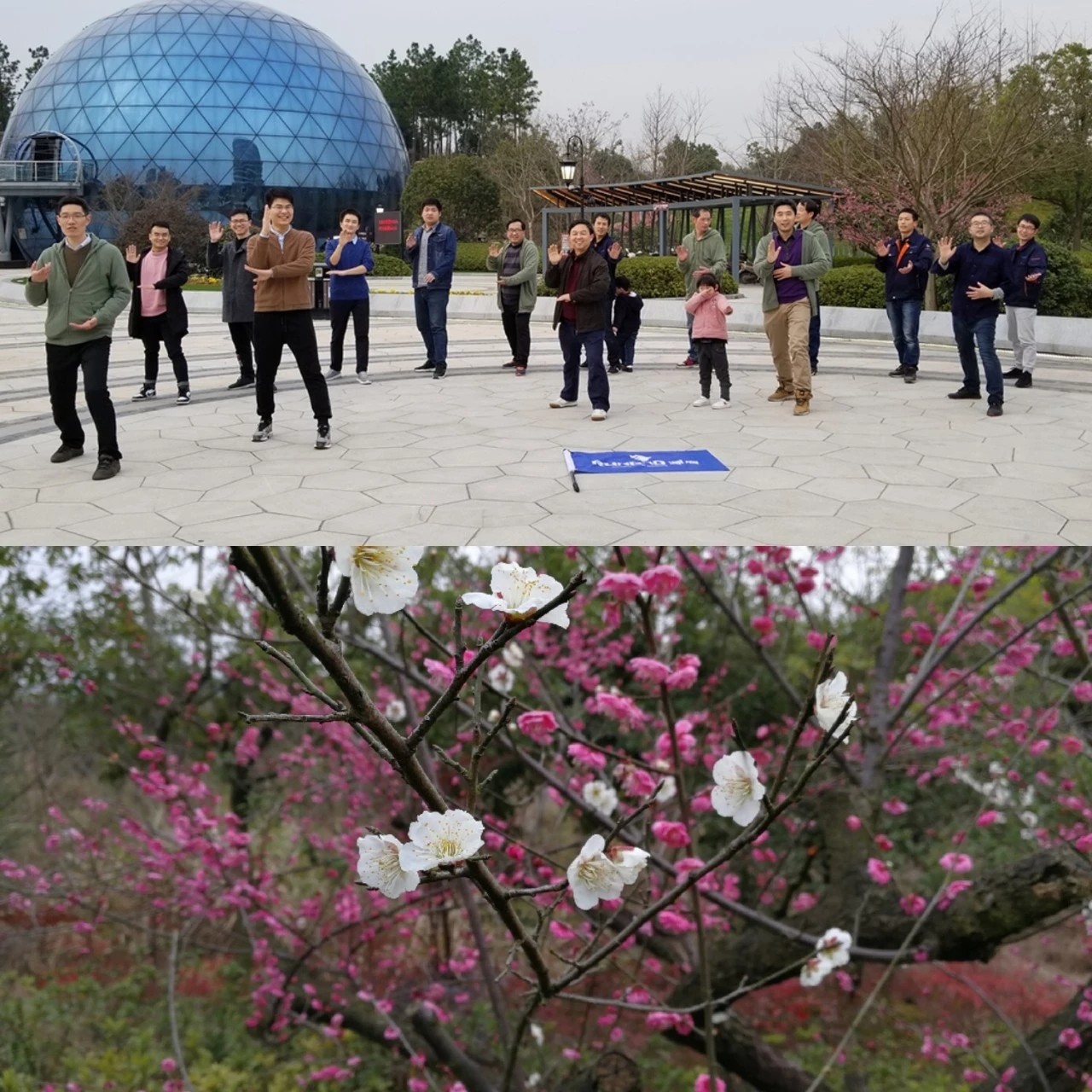 1554186355983190F662.jpg d264a6d8cdfc55188bce9ba62287763.jpg