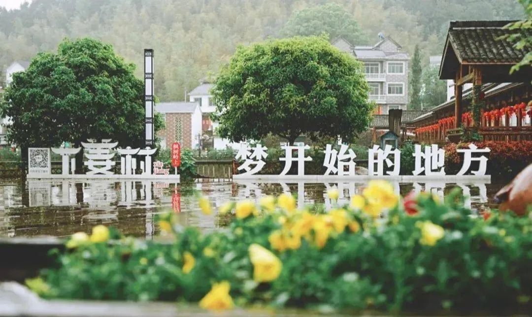 1687659922918470A235.jpg 640.jpg