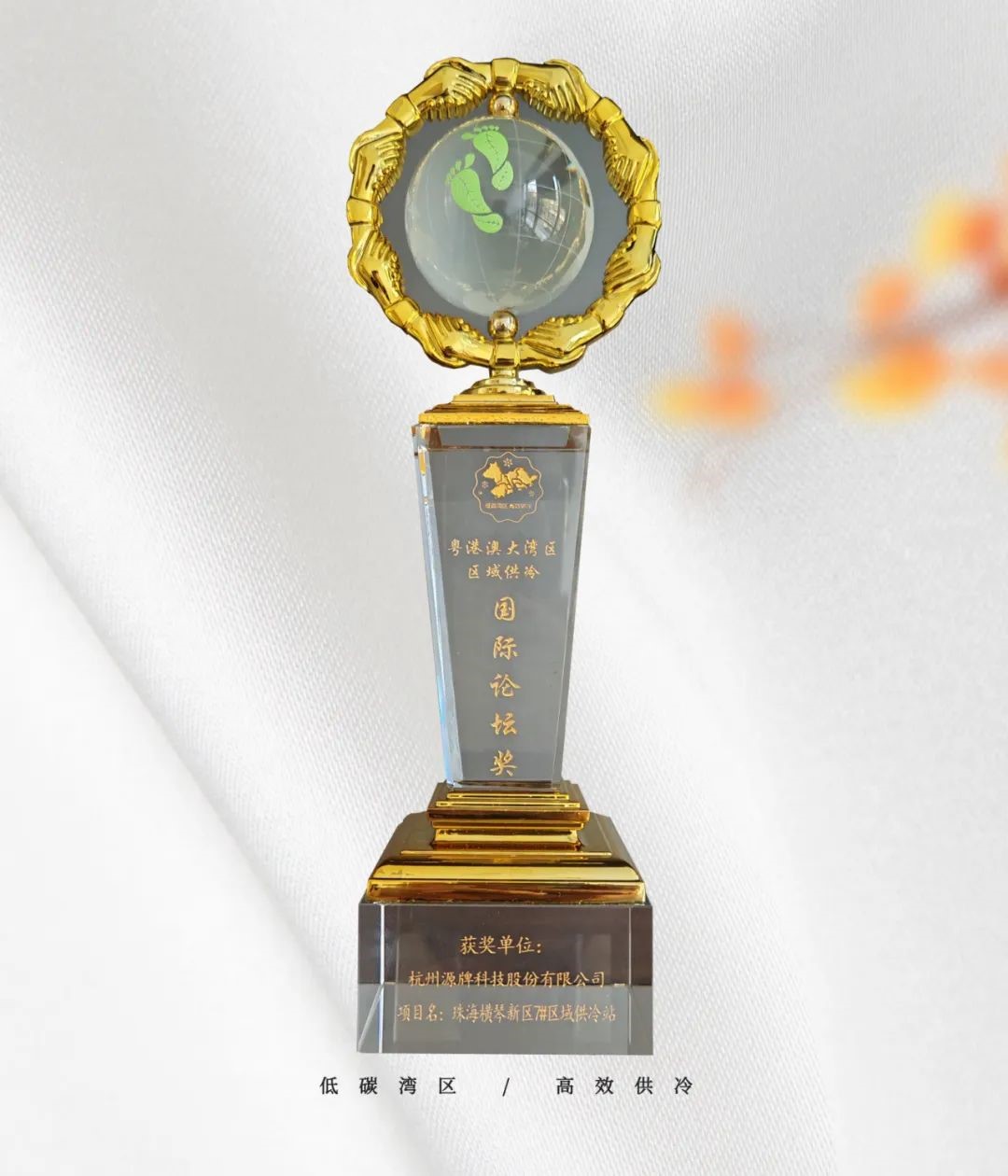 1731395088117932D01B.jpg 1.jpg