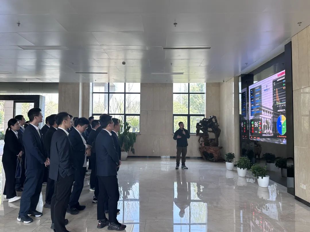 17425208271105057277.jpg 10003.jpg