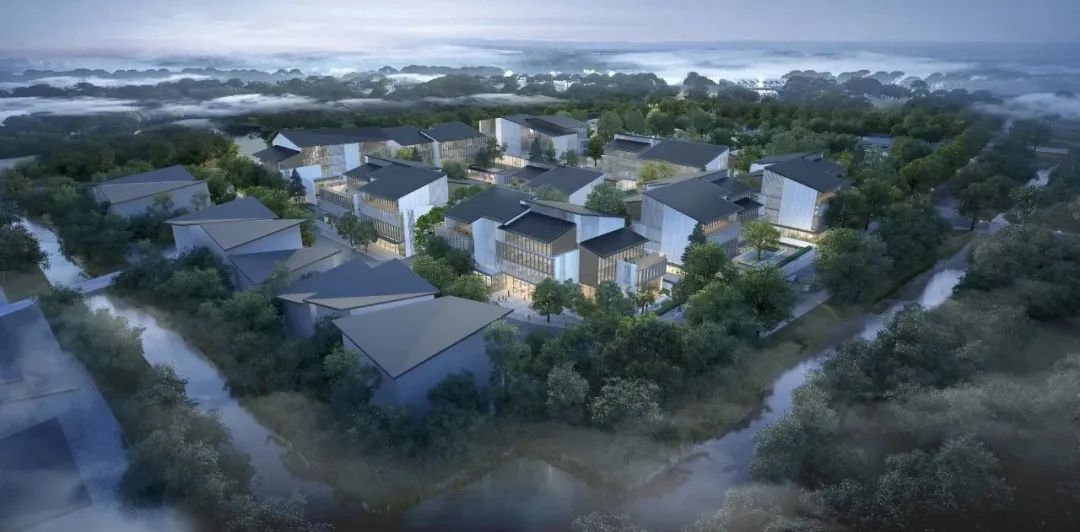 17447049011190212350.jpg 10006.jpg